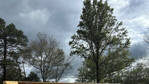 Property grounds - Mountain Retreat Near Waterfalls & Hiking Trails – Your Clarkesville Getaway (Clarkesville)