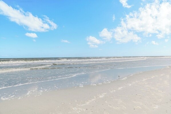 Sun loungers, beach towels - Private Pool Steps to Beach Walk to Restaurants (St. Augustine Beach)