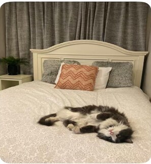 3 slaapkamers, een strijkplank/strijkijzer, internet, beddengoed