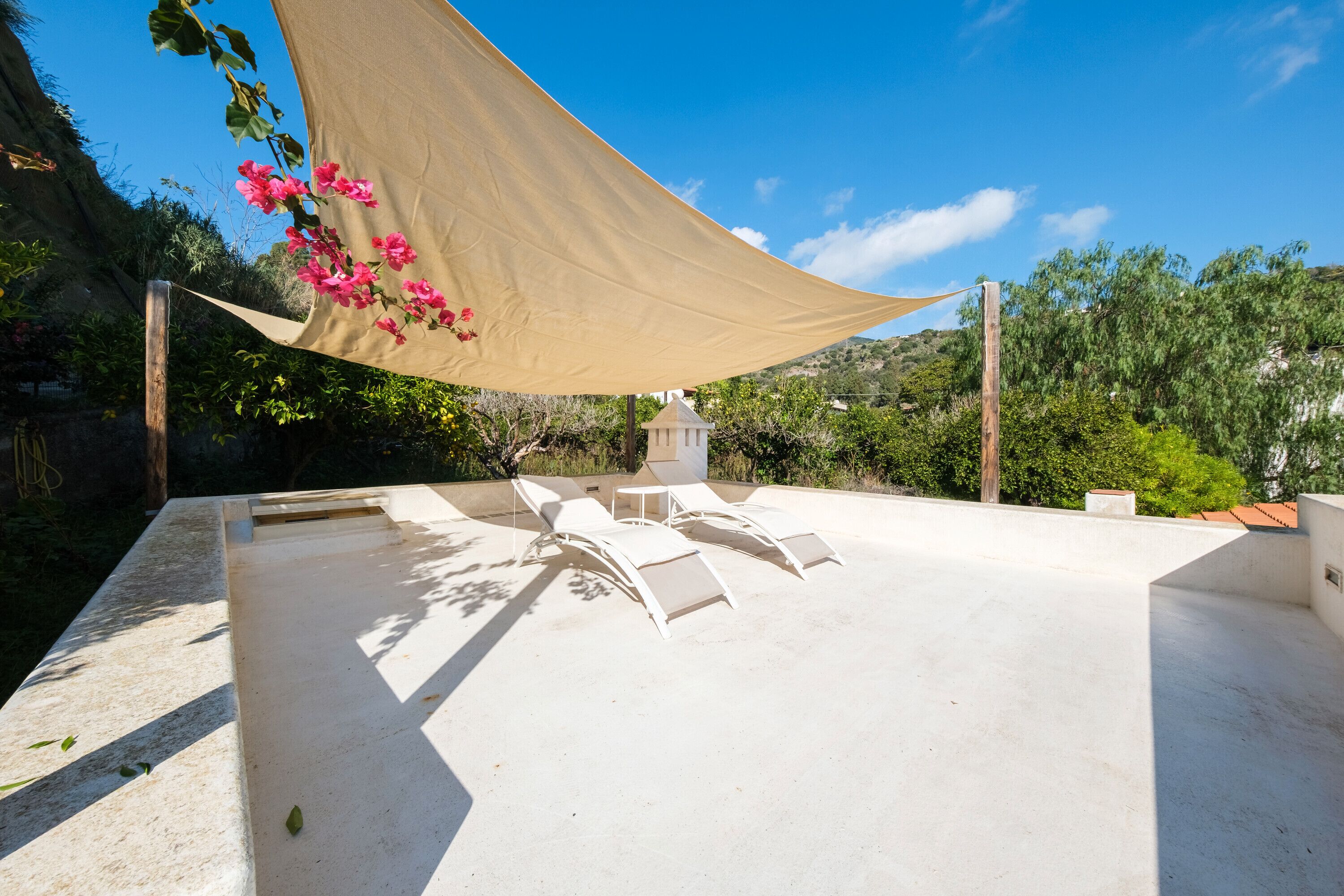 テラス / パティオ