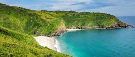 ใกล้ชายหาด