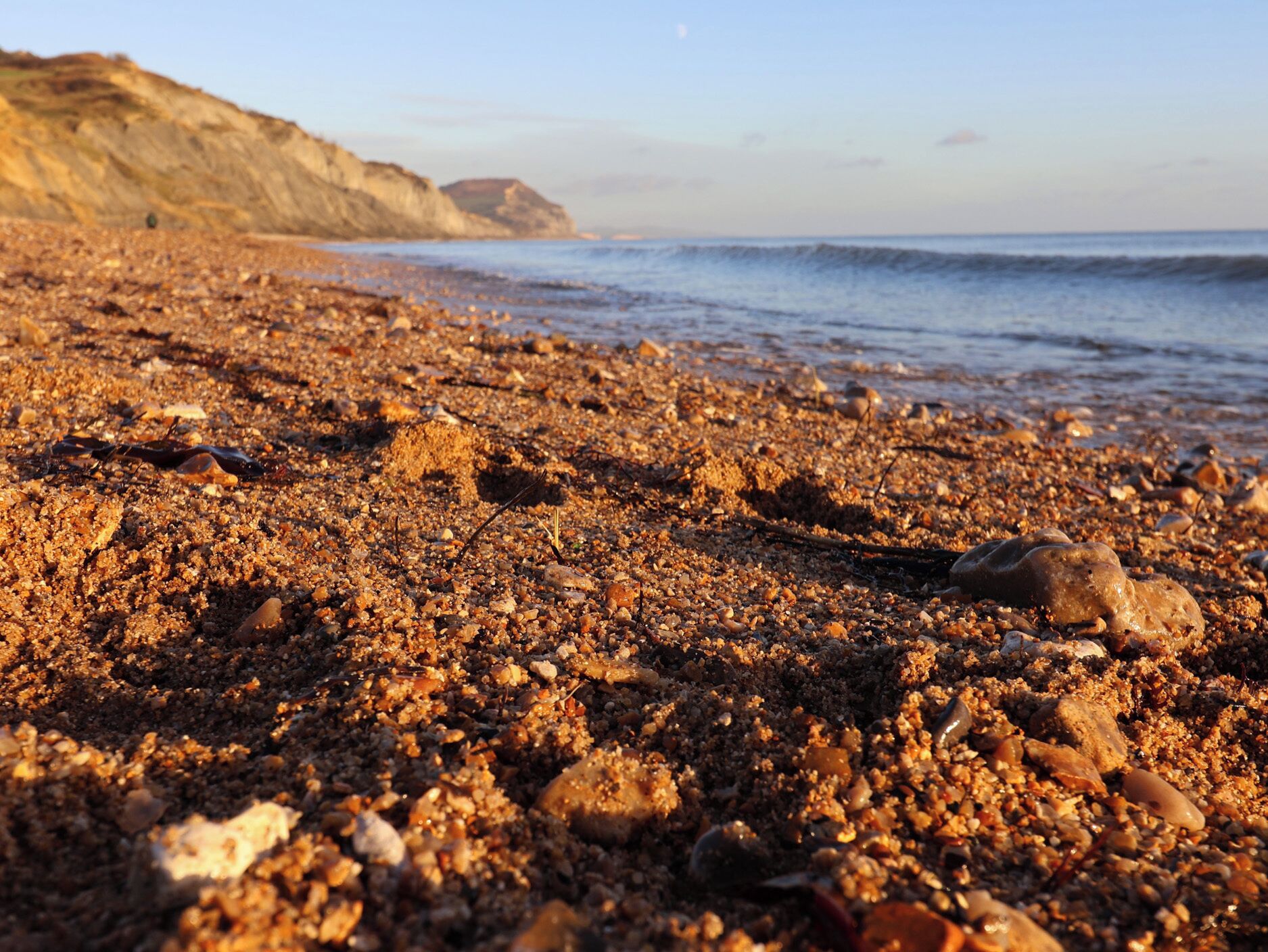 A rocky beach with pebbles and shells, a clear sky, and distant cliffs.