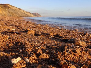 Beach - The Dairy (Axminster)
