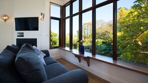 TV connectée, cheminée, livres