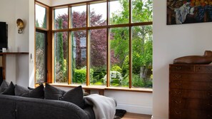 Smart TV, chimenea y libros