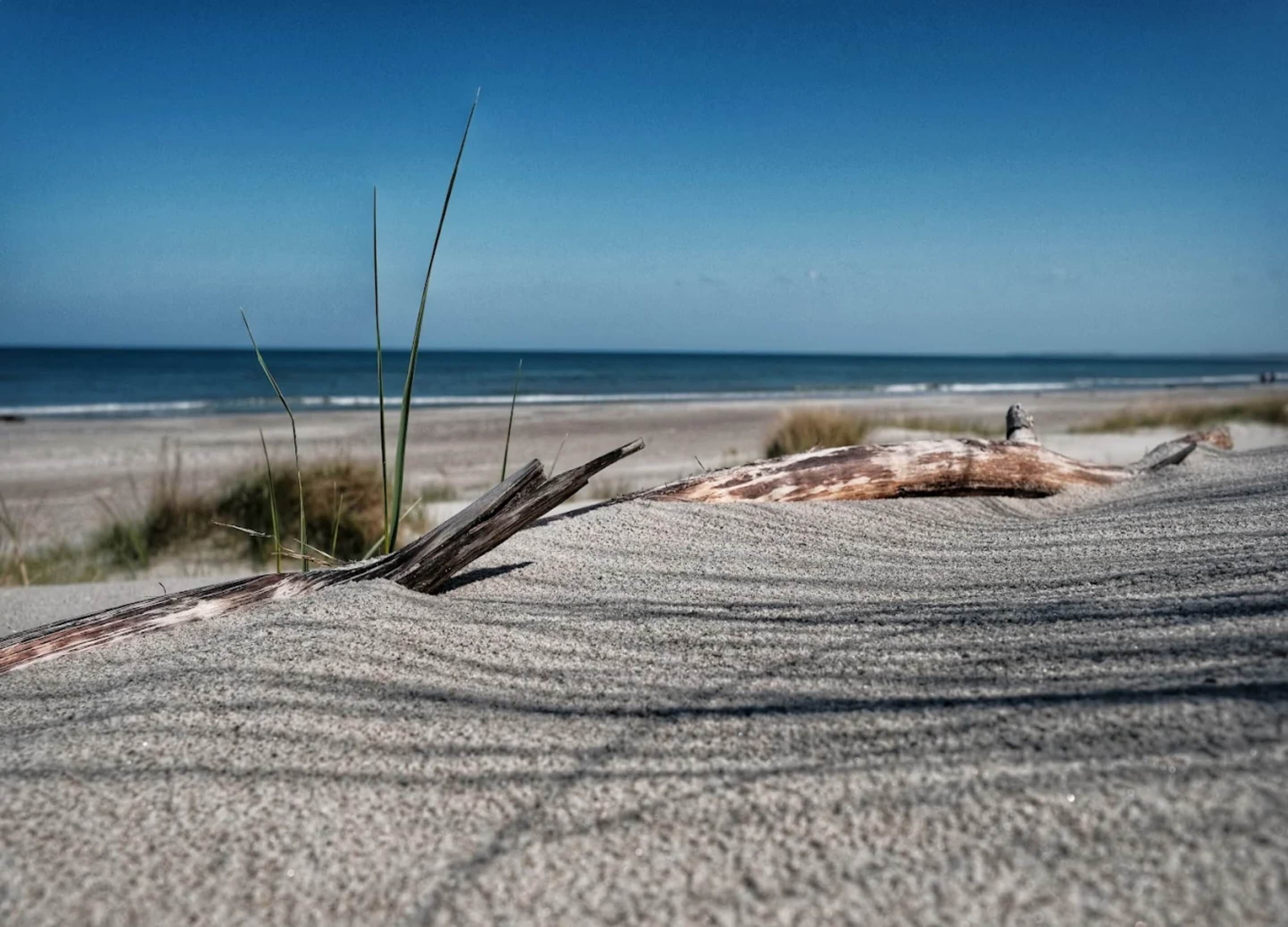 Casa | Vista desde la propiedad