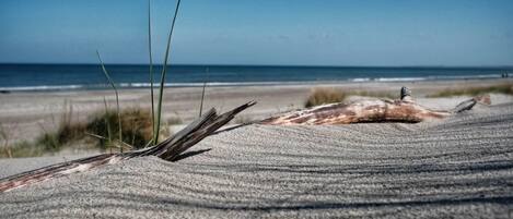 Casa | Vista desde la propiedad