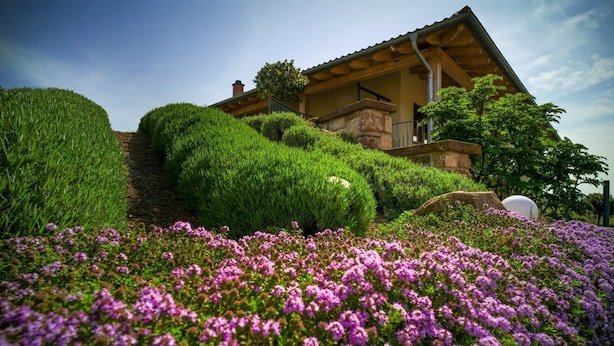 A house with a sloped roof, surrounded by lush green bushes and purple flowers. - Beautiful vacation apartment on the edge of the Palatinate Mountains (Edenkoben)