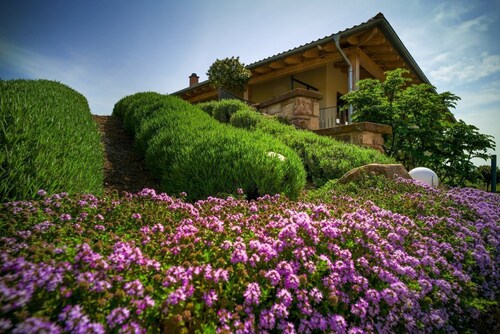 Beautiful vacation apartment on the edge of the Palatinate Mountains