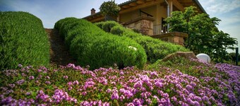 Beautiful vacation apartment on the edge of the Palatinate Mountains