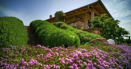 Beautiful vacation apartment on the edge of the Palatinate Mountains