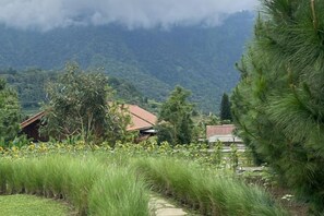 Unclassified image, 5 of 50, button - Dusun Bedugul Asri (Bali)
