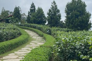 Un sendero de piedra serpentea por un jardín cuidado, con setos ordenados y altos árboles al fondo.