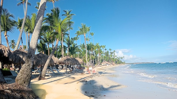 A beach with palm trees, thatched umbrellas, and lounge chairs. - Maple Beach Residences Punta Cana  (Punta Cana)