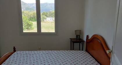 MAISON DEUX APPARTEMENTS T2 ET T3, 3mn de la plage, Ă 5mn du village Ă pieds.