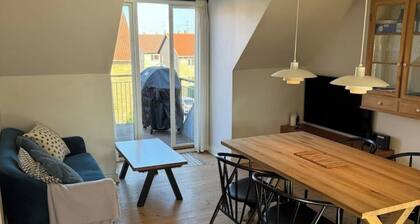 GENTHOUSE APARTMENT (3 BEDROOMS 70 m2)