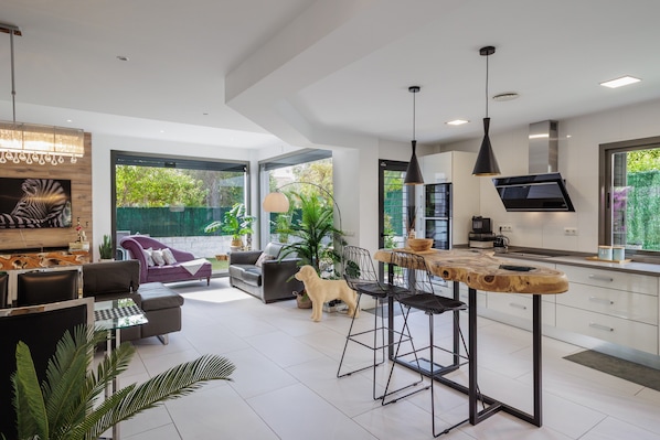 A modern kitchen with a bar area, large windows, and a dog in the living area.