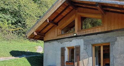 chalet avec vue panoramique, à proximité de Chamonix sans vis à vis