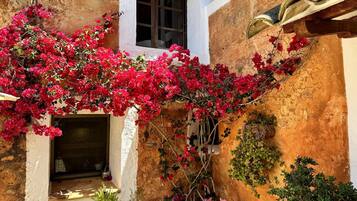 Detall de l'exterior