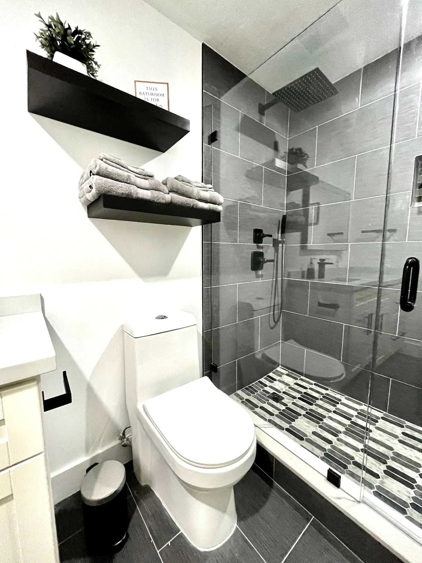 A modern bathroom with a toilet, a shower enclosure, and a towel rack.