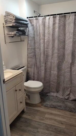 Hair dryer, towels, soap, shampoo - Relax Retreat Dog Friendly (Pocatello)