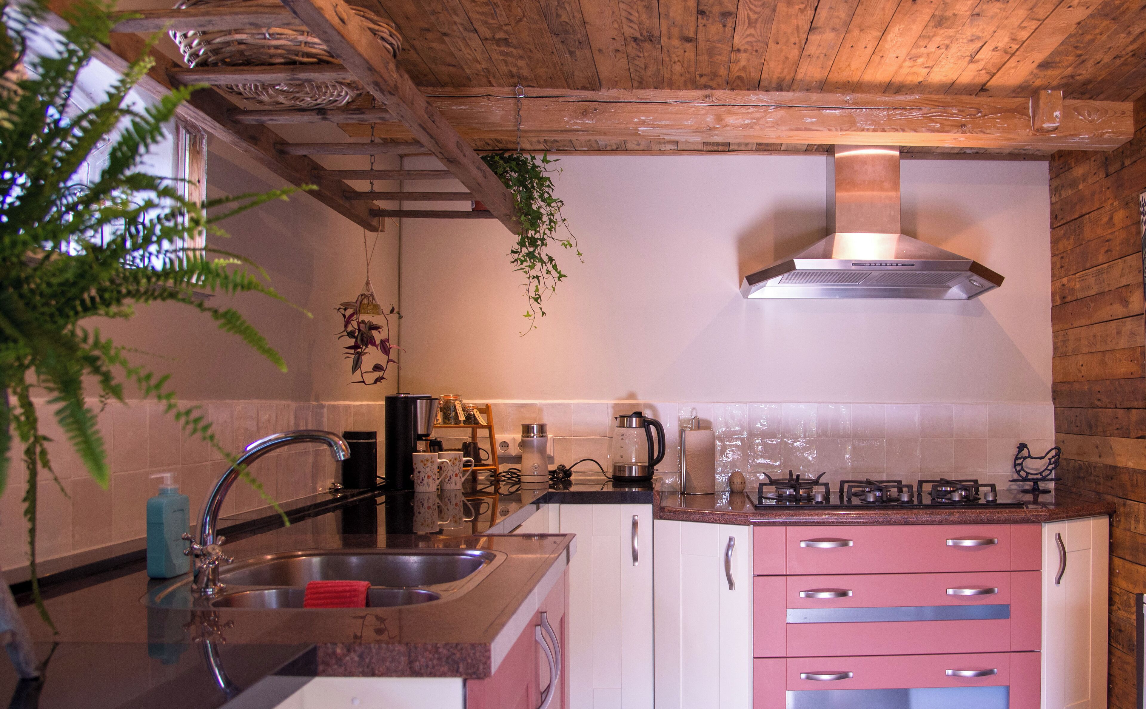 Horno, placa de cocina y lavavajillas