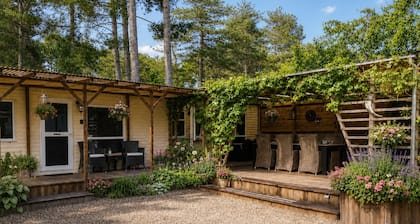 Cozy chalet with garden, terrace and fireplace
