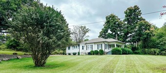 Cottage in the Pines