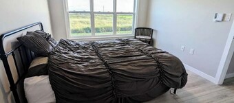 Privacy on a secluded beachfront cottage on 16 acres of land!!!
