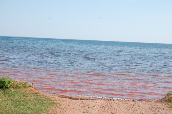 Ranta