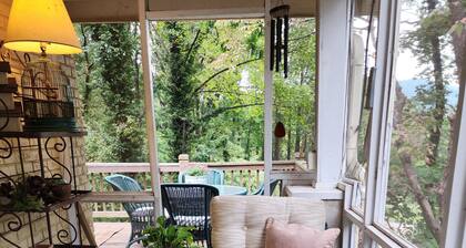 Walk to Downtown from Family Friendly Charming Home