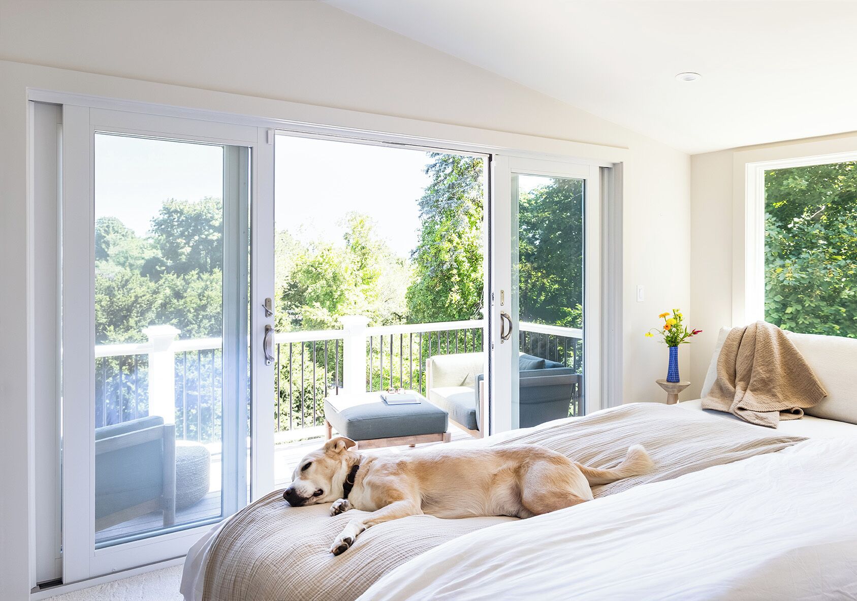 3 多间卧室、熨斗/熨衣板、WiFi、床单