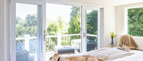 3 多间卧室、熨斗/熨衣板、WiFi、床单