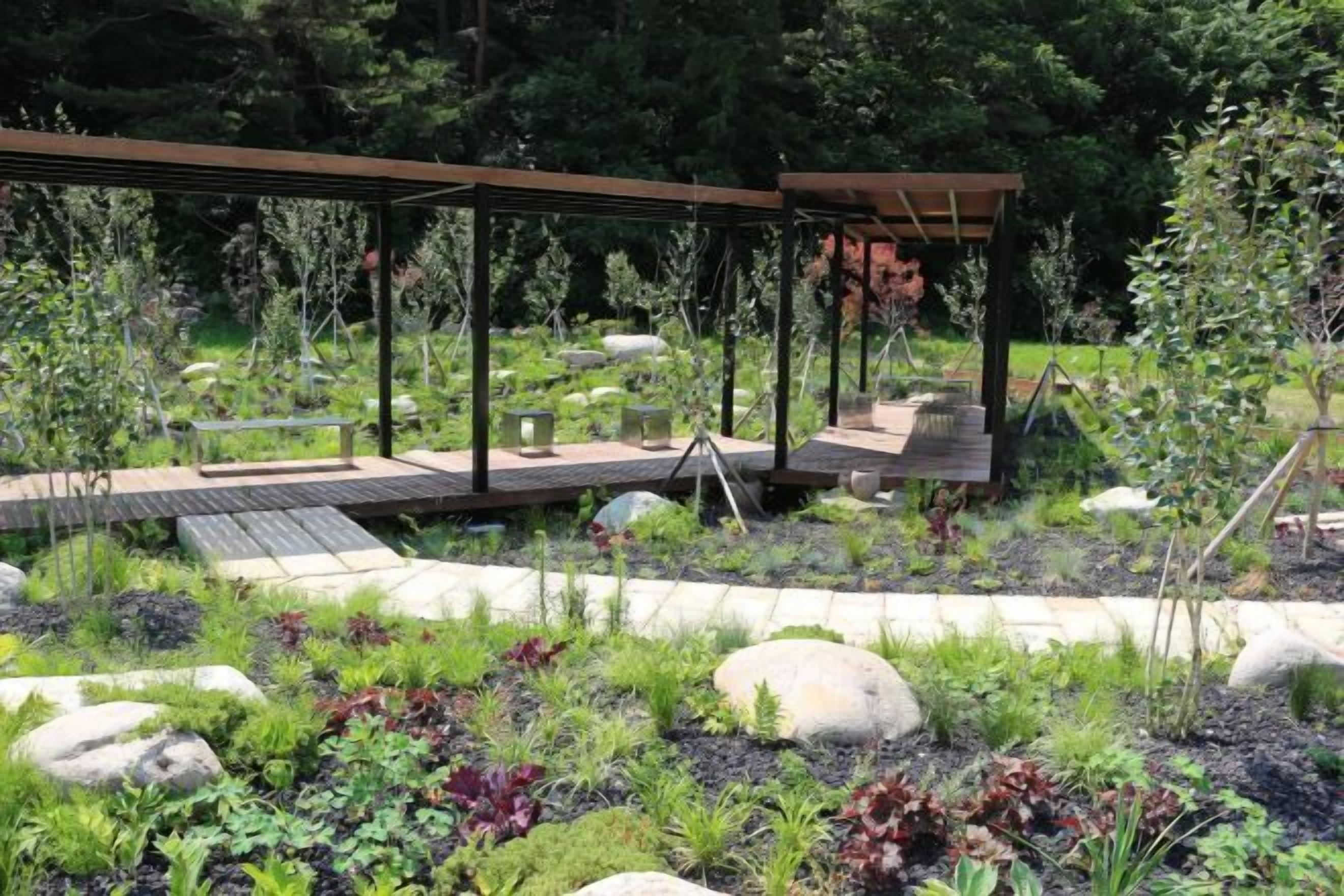 A garden with a wooden pergola, a wooden deck, and various plants.