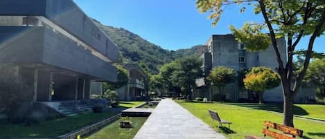 A pathway leading to a building with a flat roof, surrounded by greenery and trees.