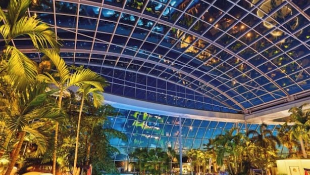 Una piscina interior con techo de cristal, rodeada de palmeras y plantas tropicales.
