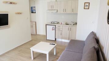 Apartamento família, vista para o jardim | Área de estar | TV