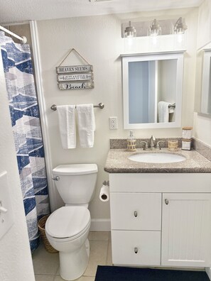 Hair dryer, towels, soap, toilet paper