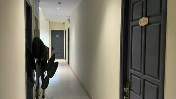 A hallway with doors, a potted plant, and a tiled floor.