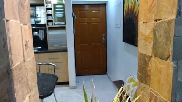 Un couloir étroit avec une porte en bois, un coin repas avec une chaise et une plante en pot.