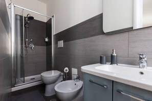 Shower, hair dryer, bidet, towels