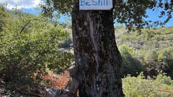 Detalle del exterior