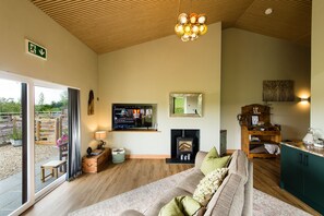 Smart TV, fireplace, books