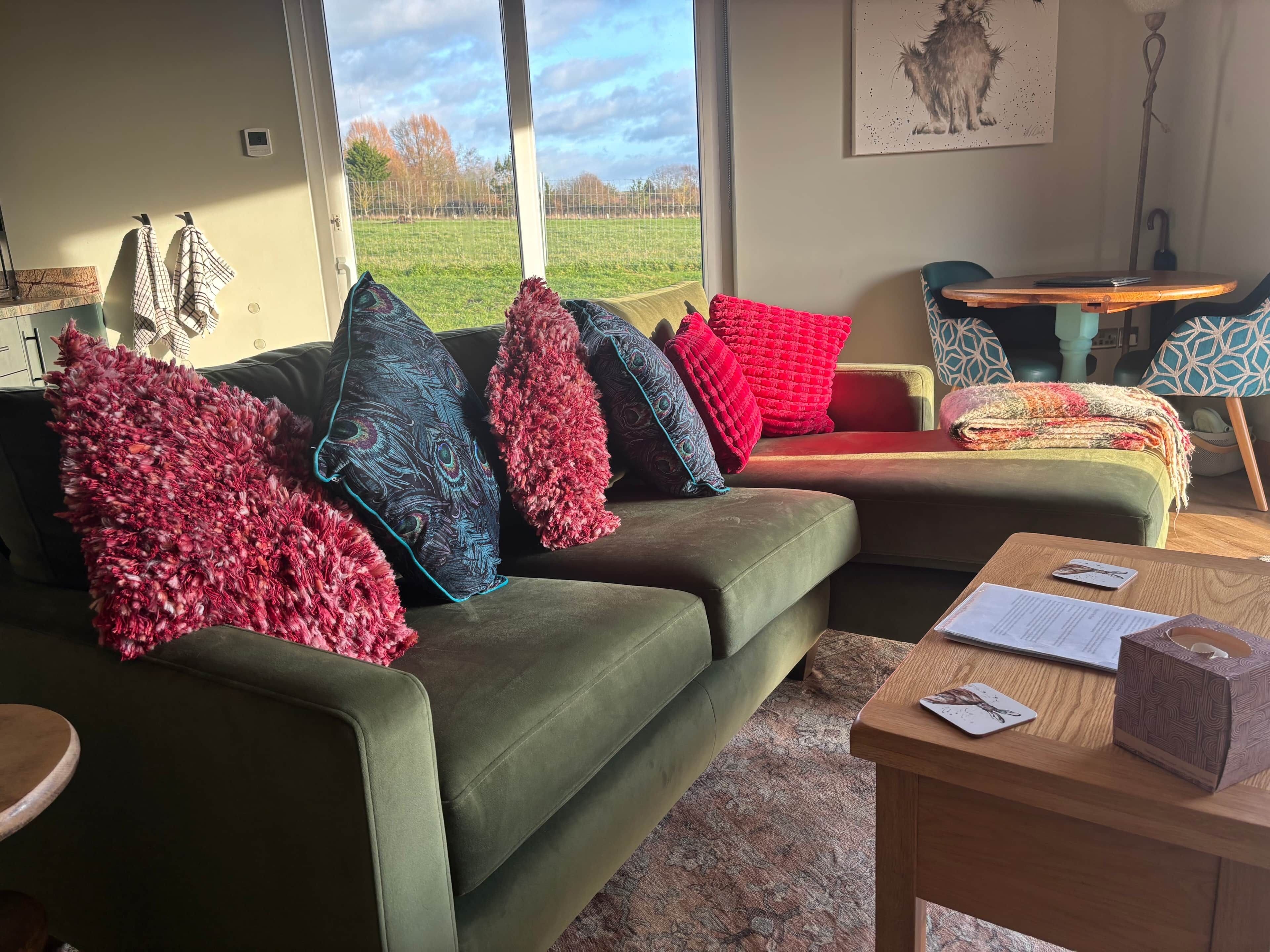 Smart-tv, eldstad och böcker