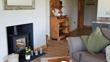 Smart TV, fireplace, books