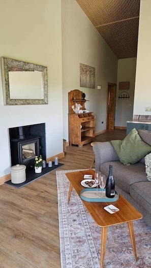 Smart TV, chimenea y libros 