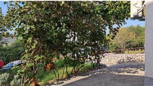 Un camino de hormigón que conduce a un muro de piedra, con un árbol que da sombra.