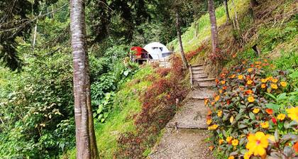 Charming Popetas Dome cabin in Floridablanca, Santander, Colombia!