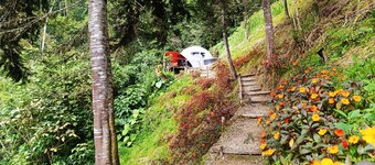 Charming Popetas Dome cabin in Floridablanca, Santander, Colombia!