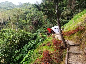 Property grounds - Charming Popetas Dome cabin in Floridablanca, Santander, Colombia! (Floridablanca)